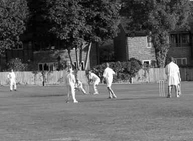 Cricket match